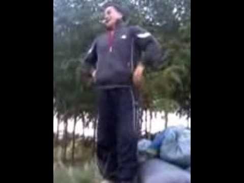 melodia lui zonel de la hlipiceni