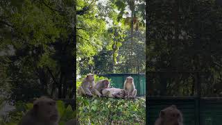 Download lagu Part 5 mp3