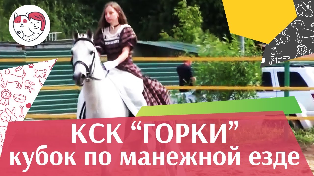 Летний кубок КСК Горки по манежной езде КЮР часть 41 на ilikepet