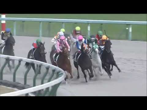 2020.11.22 2yo Newcomer (JPN) - Lord Elpis