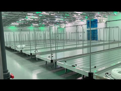 New Medical Marijuana Cultivation Facility is an Opportunity Seized