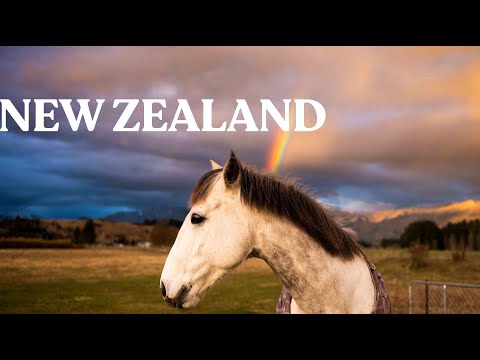 NEW ZEALAND / back on snow / first laps in the park