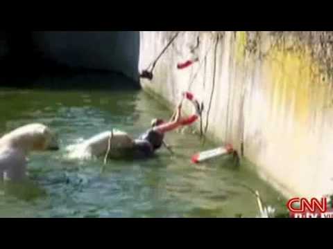 Woman attacked by polar bear