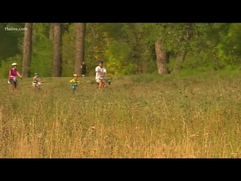 Allergy Count Atlanta