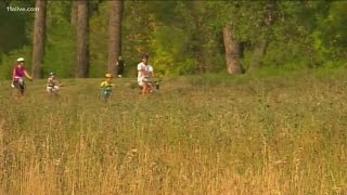 Pollen count in Atlanta extremely high