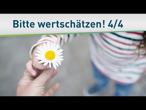 Diese Dinge solltest du wertschätzen 4/4 – Bayless Conley