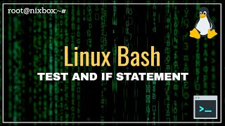 How to Use Test Conditions and If Statements in Bash