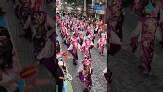 踊り陣　叶和　2026高知よさこい祭り全国大会 帯屋町筋大丸前