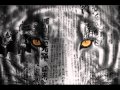 Paper Tigers - The Poet