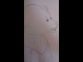How To Draw Big Felines