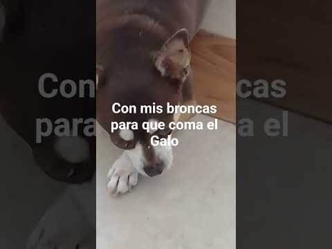 17 de octubre de 2025