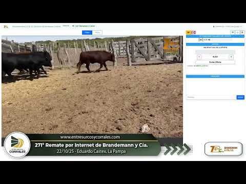 22-10-25 - 271º Remate por Internet de Brandemann y Cía. - Eduardo Castex, La Pampa