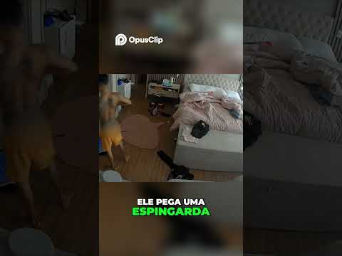 Prisão de Buzeira  Mansão, Armas e Mistério em Igaratá
