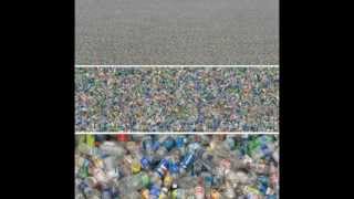 Visual Proof Of THE HUMAN IMPACT ON ENVIRONMENT (Plastic Bags, Animals, Water)