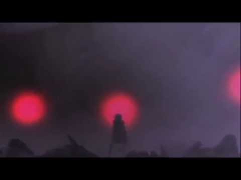 "Fantasy" - Zoot Leggz