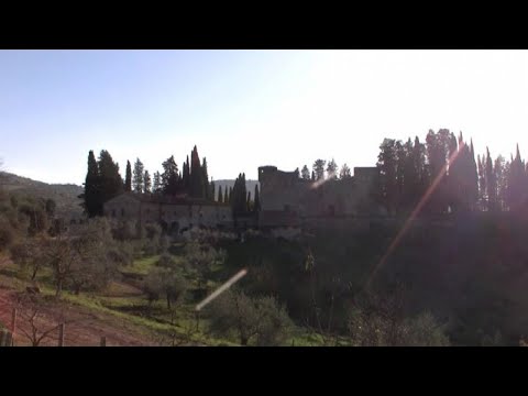 Zoreks fino a un banchetto Se è possibile diventare incinto subito siccome smetterà di bere targhe