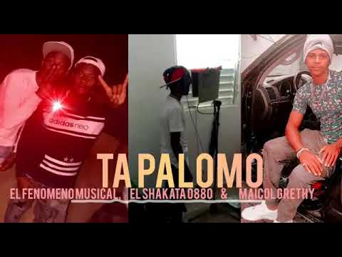Ta palomo *El fenomeno musical *maicol Grethy y el shakata 0880.