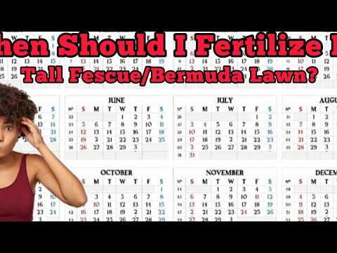 When Should I Fertilize My Fescue/ Bermuda Lawn?