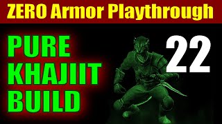 Skyrim PURE KHAJIIT Walkthrough ZERO ARMOR RUN -  Part 22, DB Contracts &amp; 1H Biz