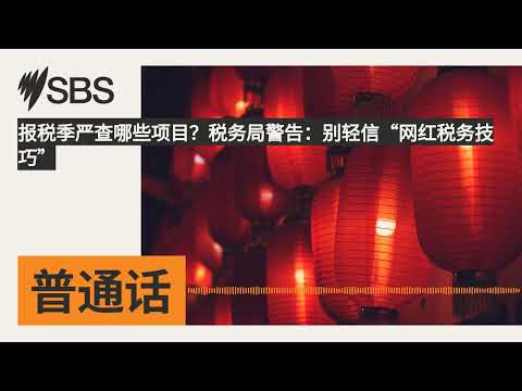 报税季严查哪些项目？税务局警告：别轻信&ldquo;网红税务技巧&rdquo; | SBS Mandarin - SBS 普通话电台