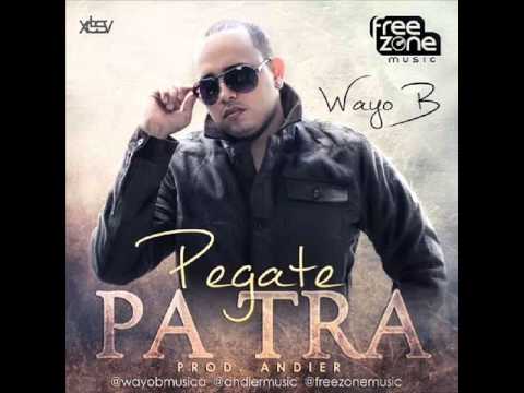 PEGATE PA TRAS  / REMIX 2014 BY DJ OMAR CEDEÑO ECUADOR