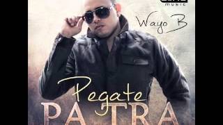 PEGATE PA TRAS  / REMIX 2014 BY DJ OMAR CEDEÑO ECUADOR