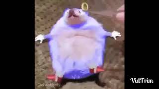 Sonic Mania Adventures Meme Compilation #2