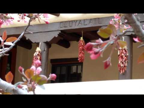 Springtime at Adobe Inn