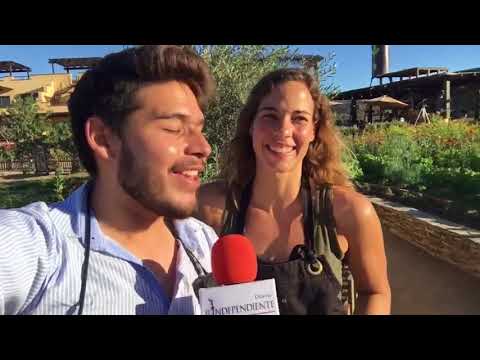 VEL PUEBLO MÁGICO DE TODOS SANTOS Y NO PODRÁS CREER LO QUE DESCUBRIMOS