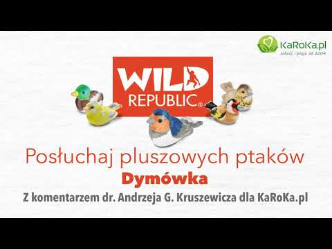 Posłuchaj pluszowych ptaków Wild Republic - Jaskółka dymówka