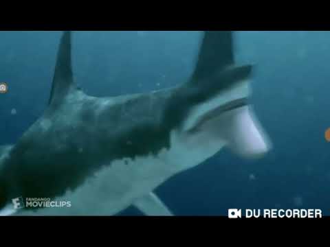 The 4-Headed Shark grew another head!! And now it's a 5-HEADED SHARK!!!