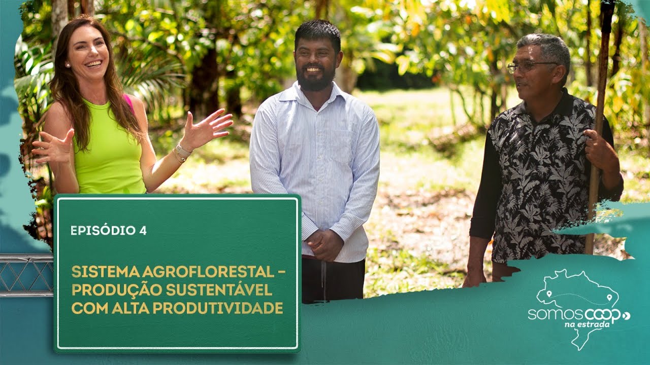 Sistema Agroflorestal – Produção sustentável com alta produtividade