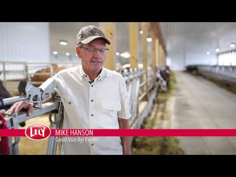 Good-Vue AyrFarms Vector automated feeding system customer story