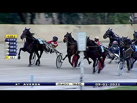 Aversa trotto 9 Gennaio 2021 - 4° Corsa