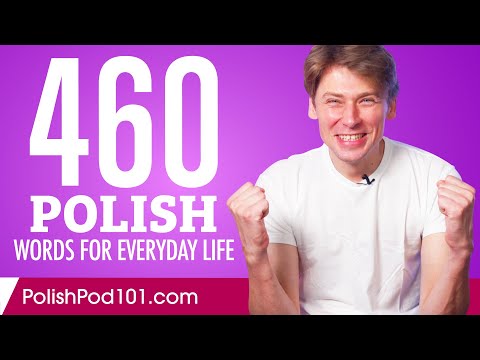 460 Polish Words for Everyday Life - Basic Vocabulary #23