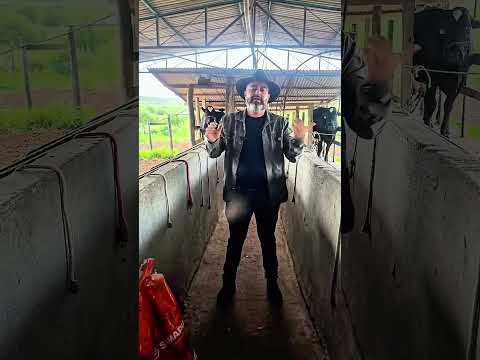 Sítio em Iati PE, medindo 20 hectares, valor R$ 499.000,00 #agro #sitio