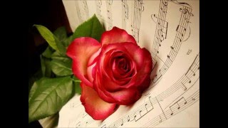 LA GOLONDRINA - TERESA SALGUEIRO