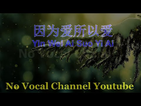 Yin Wei Ai Suo Yi Ai ( 因为爱所以爱 ) Male Karaoke Mandarin - No Vocal