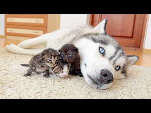 YouTube 썸네일