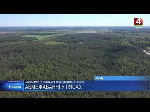 Ограничения на посещение лесов действуют в 9 районах Гомельщины видео