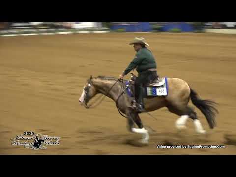 Spooks Gotta Spark shown by Shawn W  Flarida   2020 NRBC FINALS   Open Classic, Sec  2