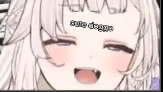 Download lagu wild dog goes Jancok mp3