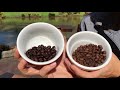 Kona coffee brewing instructions
