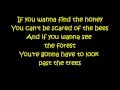 Kacey Musgraves - Silver Lining Lyrics 