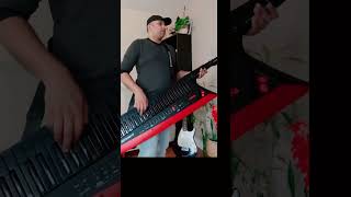 I’m a Barbie Girl | Keytar Cover