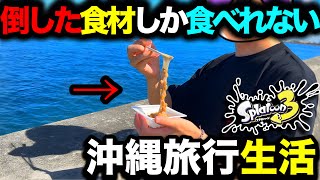 【神回】スプラ3でマッチングした名前の食材だけで沖縄旅行生活してみたｗｗｗｗ