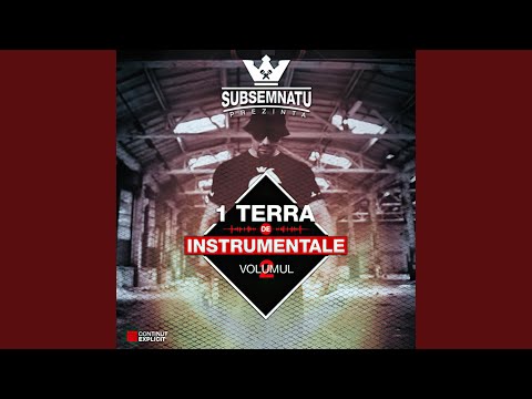 Fara sinonime (feat. Cumicu, Ais The Chef & Dj GreWu)