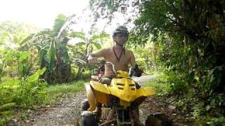preview picture of video 'Ride on quad in  Philippines Bohol island'