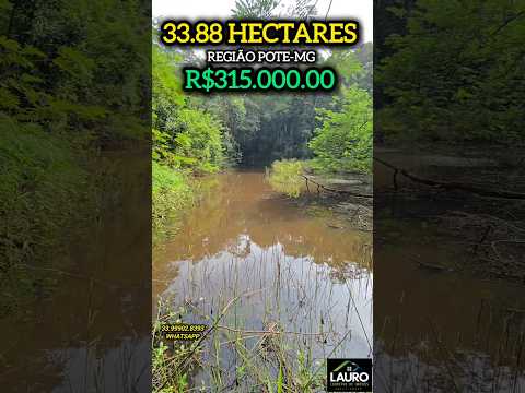 🌿 OPORTUNIDADE RURAL! SÍTIO COM NASCENTES E REPRESA EM POTÉ-MG 💧
