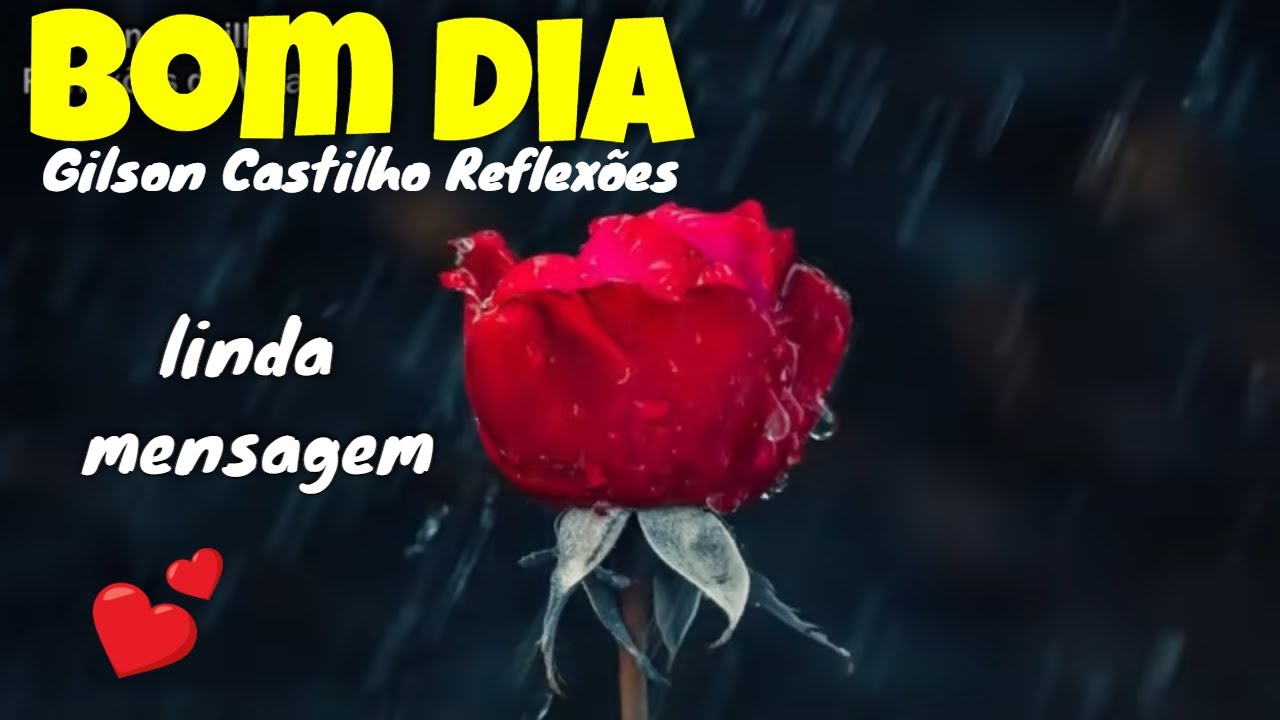 Acalme Seu Coração , Acredite Tudo Ficará Bem I Mensagem de Bom Dia